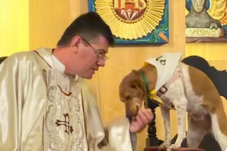 Un cura cordobés se volvió viral por compartir el altar de la iglesia con su perrita Nina