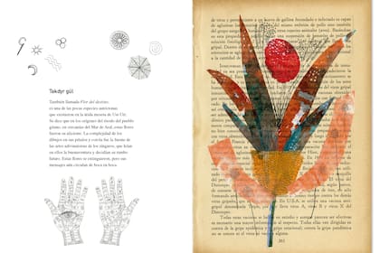 Un curioso manual poético de botánica imaginaria