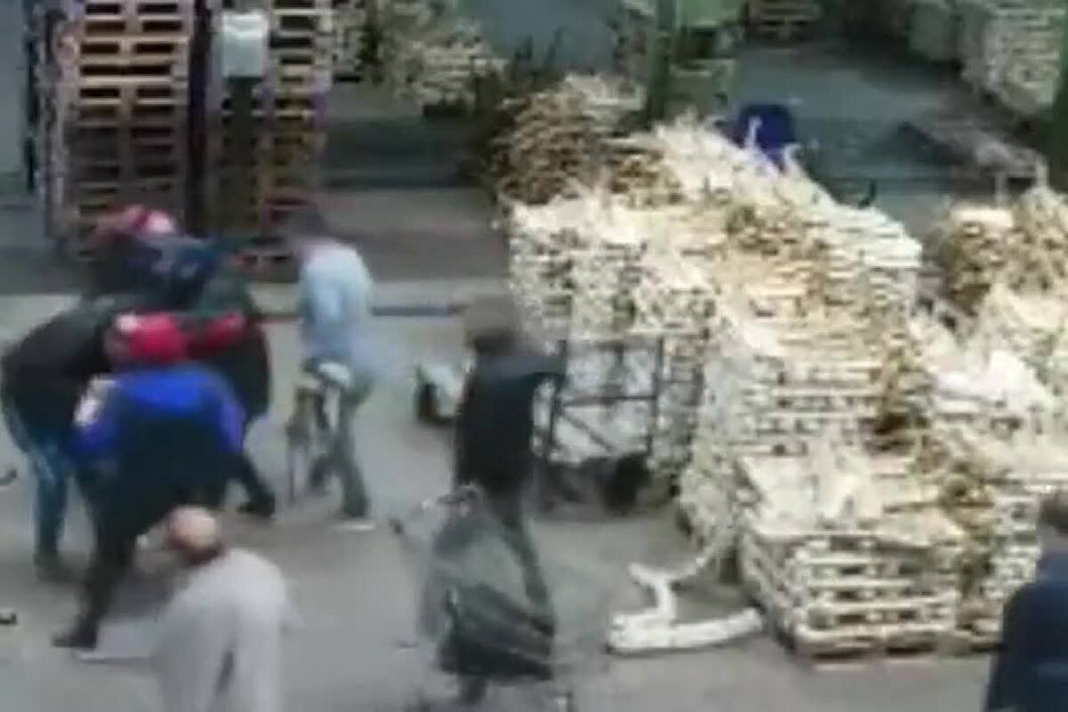 Un delincuente intentó robarle la cartera a una mujer en el Mercado Central y fue linchado por puesteros.