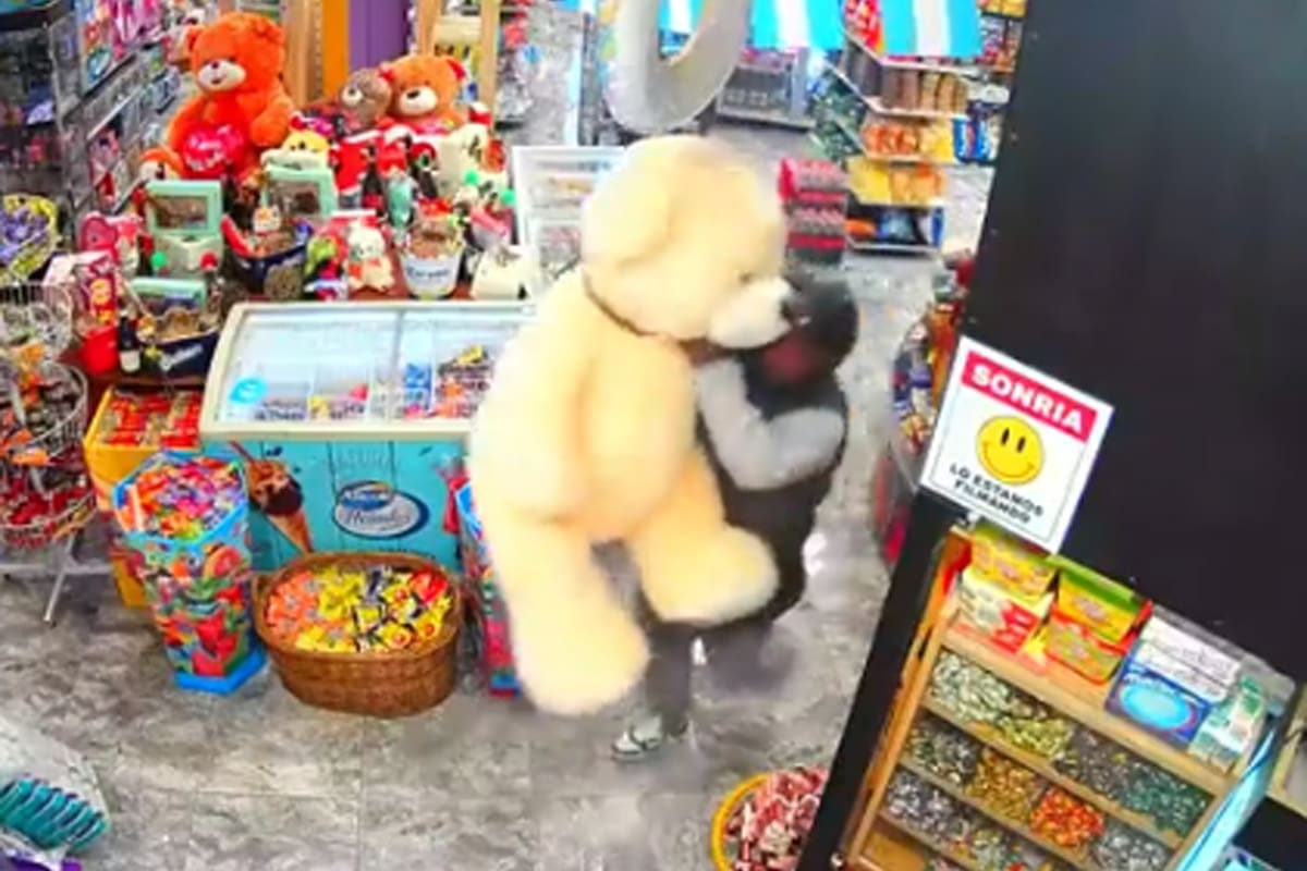 Un delincuente robó un oso de peluche gigante de un kiosco