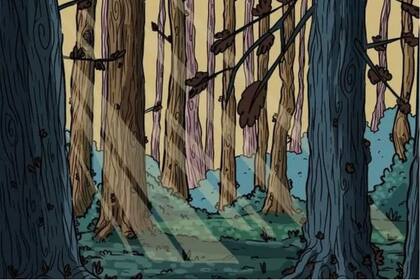 Un desafío viral de un búho que solamente lo acierta el 1% de las personas