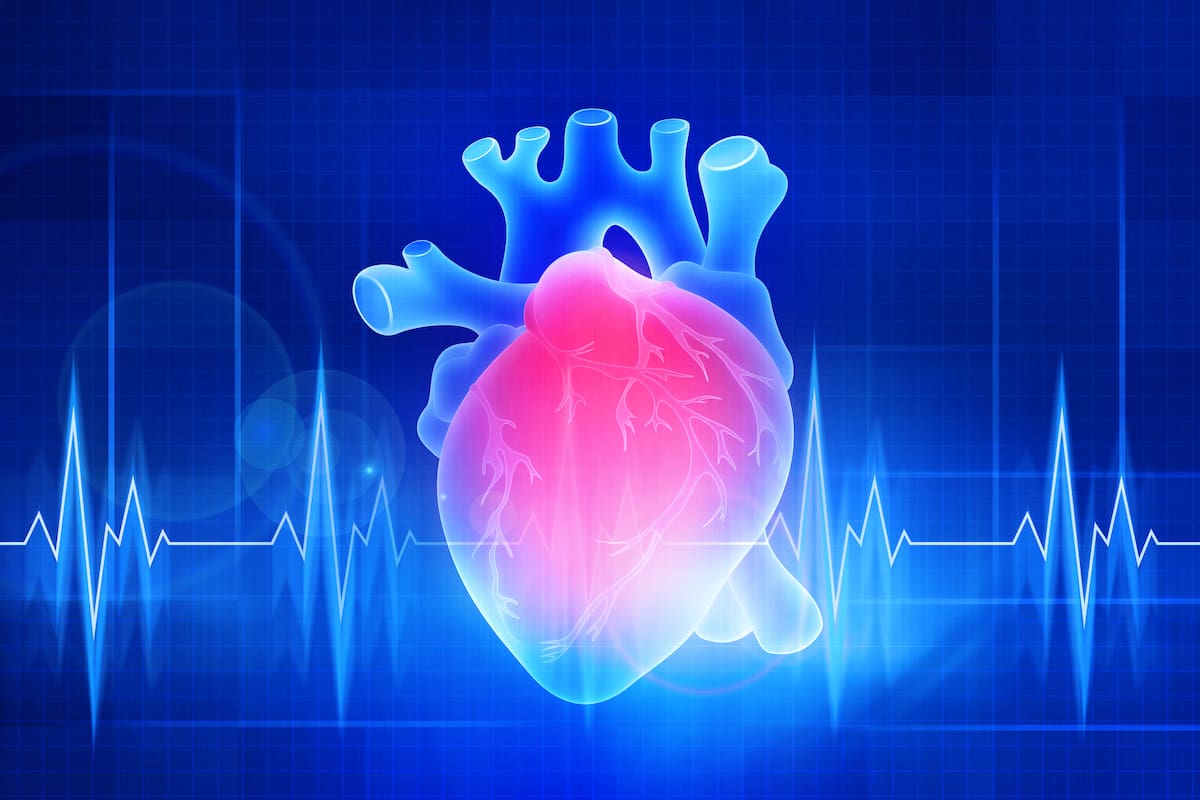 Un desarrollo de una cirujano cardiovascular argentino promete revolucionar el mercado de reemplazo de válvulas cardíacas