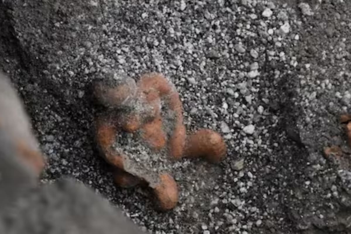Un descubrimiento arqueológico asombró en Pompeya