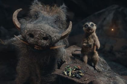 Un descubrimiento inusual despertó el interés de la comunidad científica