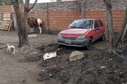 Un detenido por el crimen del comerciante asesinado cuando fue a comprar un auto en Castelar