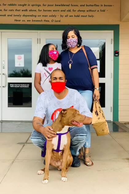 Un día después de contactar a Project Reachout, una persona se mostró interesada por adoptar a Lola, que tiene dos años