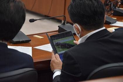 Un diputado japonés fue encontrado mirando videos de cocodrilos en plena sesión