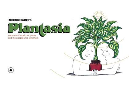 Un disco para tus plantas