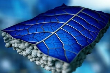 Un diseño de paneles solares llamado PV-leaf, que imita la estructura de las hojas de las plantas, permitiría transformar más luz solar en energía al usar agua dentro de los paneles para bajar su temperatura