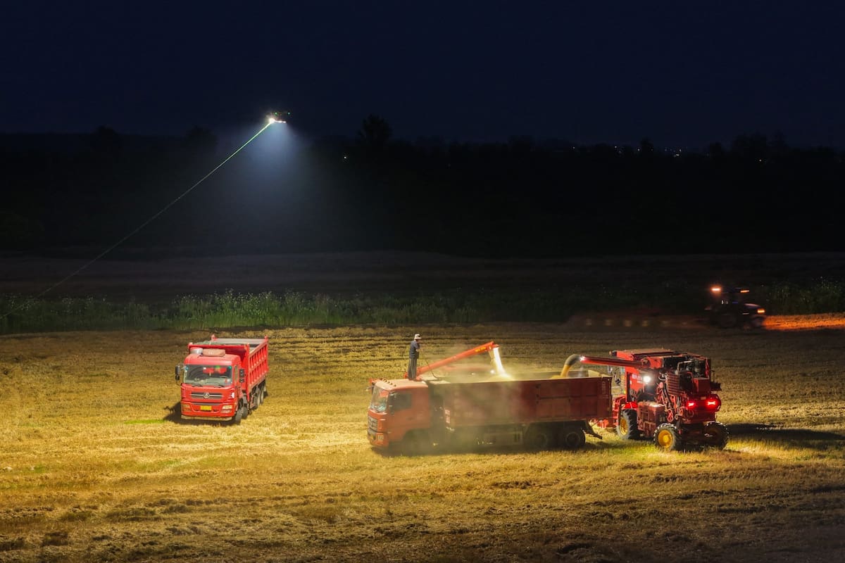 Un dron alumbra las máquinas agrícolas cargando trigo cosechado en un camión en un campo