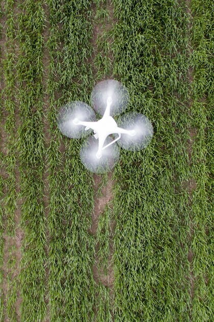 Un dron, emblema de la tecnología contemporánea, sobrevuela tierras productivas