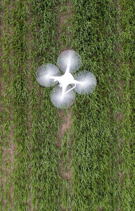 Un dron, emblema de la tecnología contemporánea, sobrevuela tierras productivas