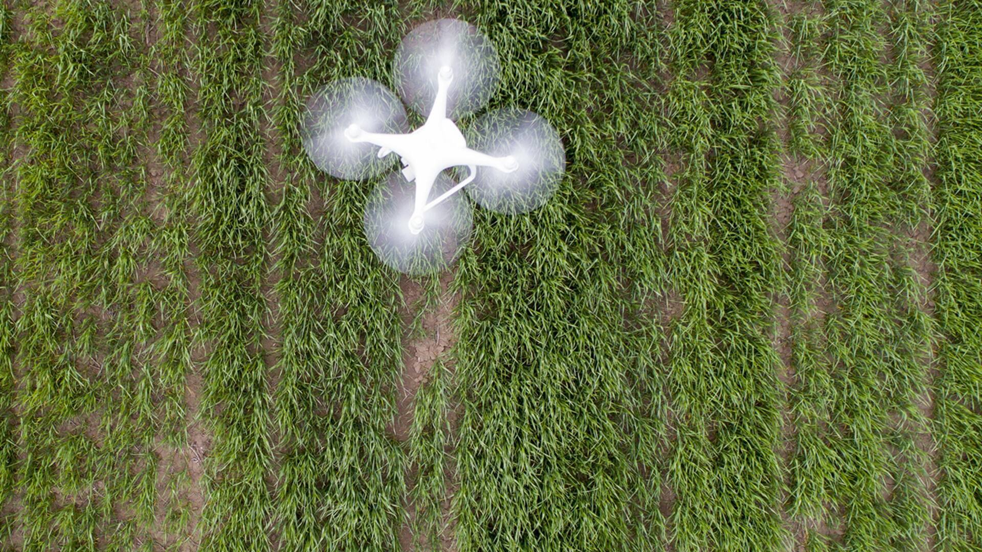 Un dron, emblema de la tecnología contemporánea, sobrevuela tierras productivas