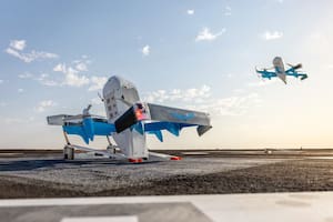 Pidió algo por Amazon y se lo trajo un dron, pero tiró el paquete en la pileta