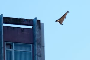 Un dron ruso ataca un edificio durante una ofensiva aérea con aviones no tripulados y misiles sobre Kiev