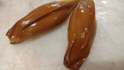 Un ejemplo de cómo se ven las cápsulas de huevo de tiburón fantasma (Crédito: Dra. Brit Finucci)