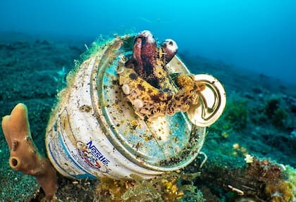 Un ejemplo de la basura que se encuentra en el fondo del mar.