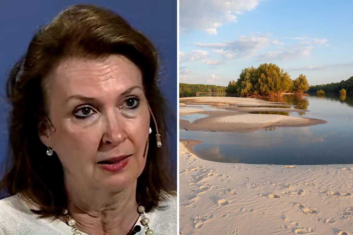 Un embajador del “país” Liberland se ofreció a invertir en la Argentina y Diana Mondino le contestó