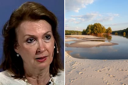 Un embajador del “país” Liberland se ofreció a invertir en la Argentina y Diana Mondino le contestó