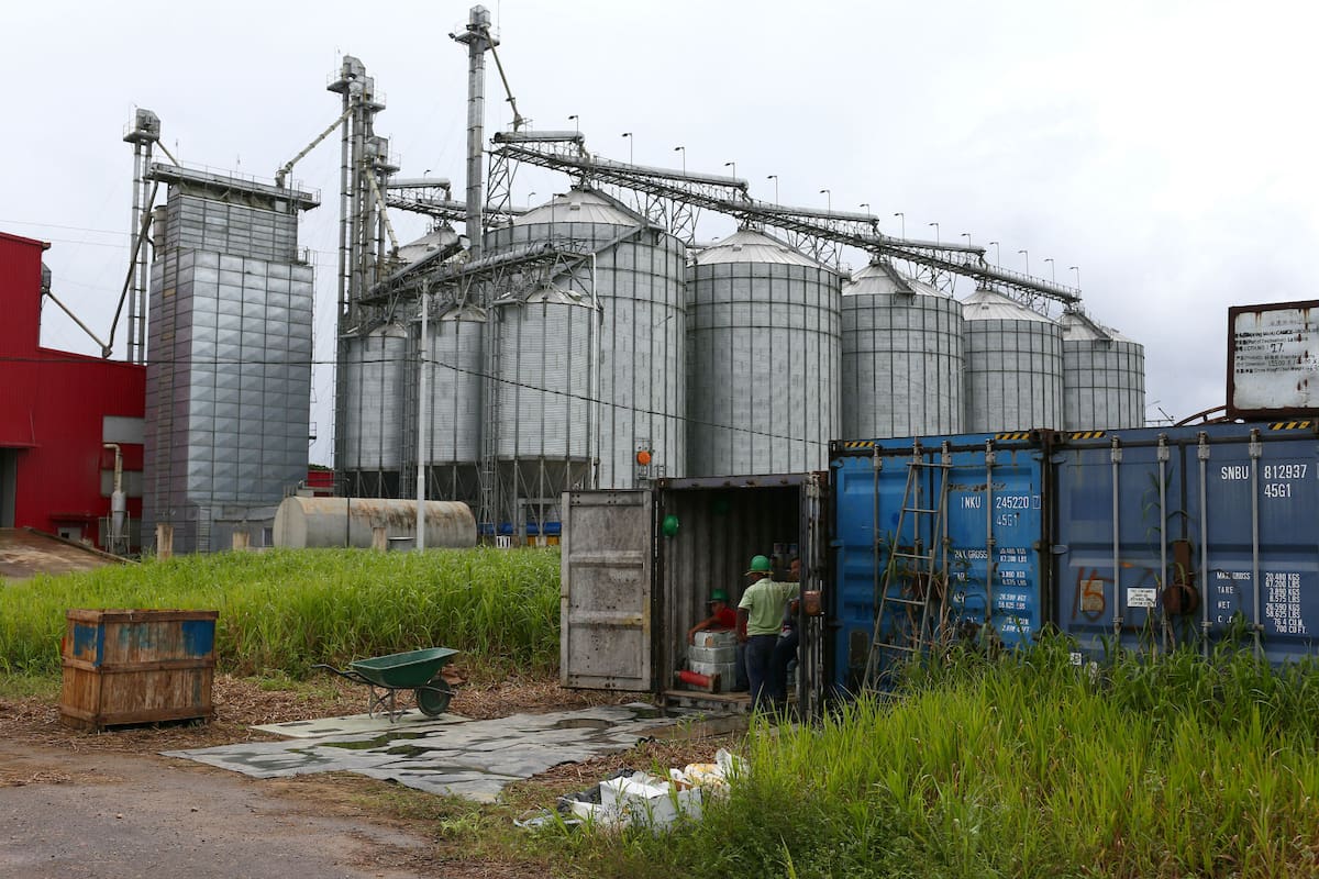 Un empleado busca insumos en un container de la planta de arroz Hugo Chávez, en Tucupita