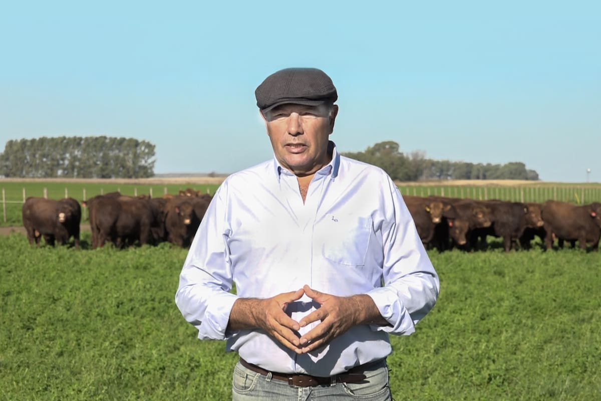 Un emprendedor todoterreno Leonardo Hernandez
La historia del empleado de una casa de remates feria que pasó a ser el dueno de una de las cabanas mas exitosas de Limangus
vacas vaca ganado campo