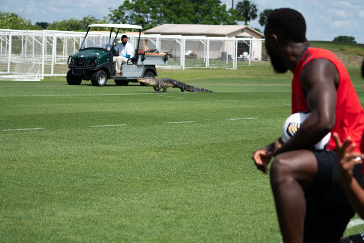 Un enorme cocodrilo irrumpió en el entrenamiento del Toronto FC de la MLS