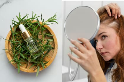 Un ensayo clínico comparó el romero con un tratamiento aprobado para la alopecia y registró mejoras recién a los seis meses