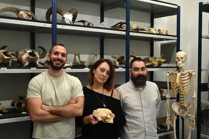 Un equipo de científicos descubrió señales de canibalismo cultural en huesos de humanos de hace 18.000 años