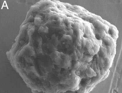 Un equipo de científicos encontró granos de polvo que tienen hasta 7.500 millones de años en el interior de una roca espacial