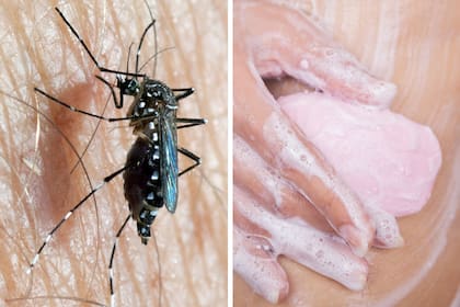 Un equipo de investigadores de Virginia Tech comprobó que lavarse con algunos jabones atrae a los mosquitos