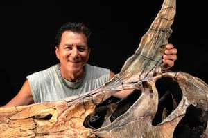 Un equipo de investigadores descubrió una nueva especie de dinosaurio en el Sáhara Central