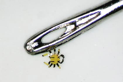 Un equipo de la universidad Northwestern, en Estados Unidos, creo minúsculos robots de medio milímetro de tamaño. En este caso, junto al ojal de una aguja