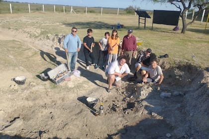 Un equipo de paleontólogos de San Pedro halló en las afueras de la localidad los restos fósiles de un armadillo de hace 500 mil años