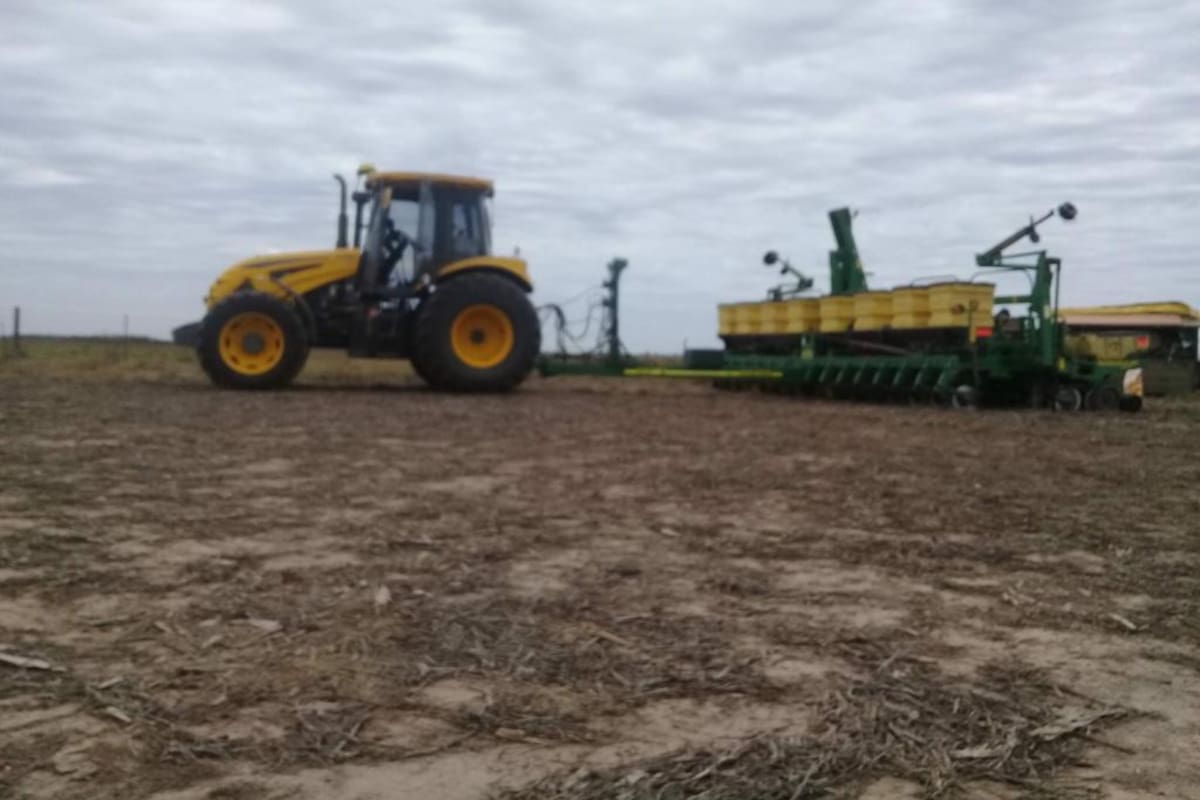 Un equipo de siembra de maíz en Monte Buey, Córdoba