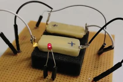 Un equipo del Istituto Italiano di Tecnologia creo una batería comestible: está hecha de materiales orgánicos y podría usarse para dar energía a monitores que llevamos dentro del cuerpo