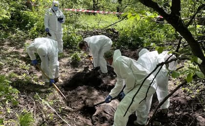 Un equipo forense de Ucrania remueve los restos de un joven soldado enterrado a la afueras de Kiev