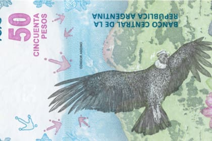 Un error de impresión en el billete de 50 pesos comenzó a ser "codiciado" por los coleccionistas