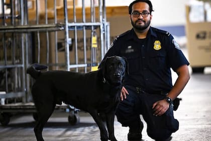 Un escáner y un perro especializado detectaron la droga
