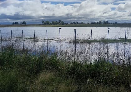 Un escenario más húmedo podría favorecer los rindes, aunque también eleva el riesgo de excesos hídricos en algunas zonas