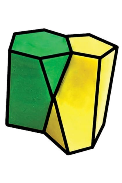 Un escutoide es un sólido geométrico entre dos superficies paralelas.
El hallazgo fue el resultado de una investigación del Departamento
de Biología Celular y el Instituto de Biomedicina de la Universidad de Sevilla