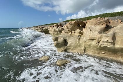 Un espacio único en la costa de Florida es visitado por miles de personas