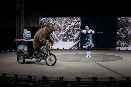 Un espectáculo escénico presenta a un gran oso pardo montado en una pequeña motocicleta de tres ruedas