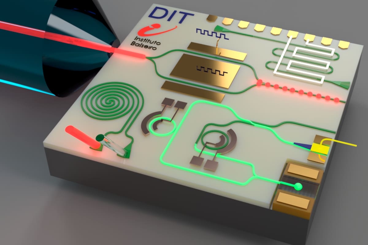 Un esquema del chip fotónico de telecomunicaciones diseñado en el Instituto Balseiro
