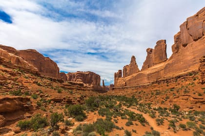 Un estado al oeste de Estados Unidos recibió una gran afluencia de inmigrantes en el último tiempo y anunció que se quedó sin recursos