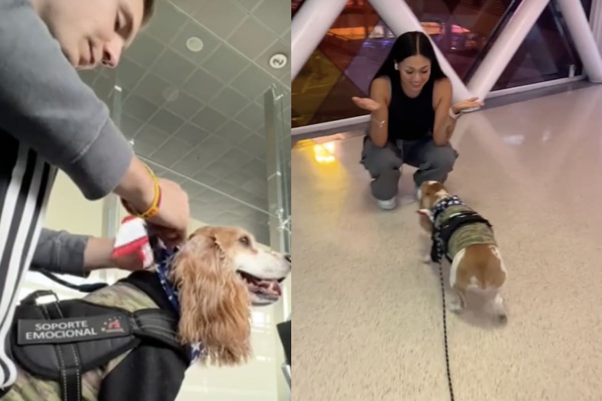 Un estadounidense le dio una sorpresa a su esposa colombiana que la dejó sin palabras