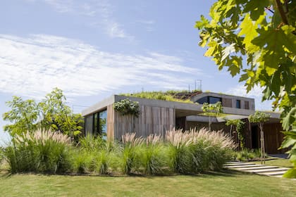 Un estanque con plantas acuáticas para purificar el agua, ventilación cruzada y luz natural, parasoles, aleros y un gran techo verde son algunas de las estrategias que usó AtelierM para reducir el consumo energético y el impacto ambiental.