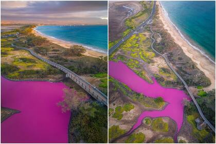 Un estanque de Hawai se puso rosa, casi como una película, pero el efecto no parece ser bueno