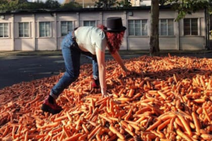 Un estudiante de arte usó 240 mil zanahorias para una obra artística. Los vecinos, indignados por el desperdicio, las usan para cocinar y recaudan fondos con fines solidarios