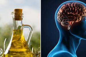 Un estudio analizó a adultos mayores y vinculó dieta y función cognitiva