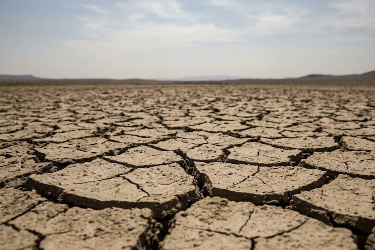 Un estudio científico utilizó modelos climáticos tridimensionales para proyectar la longevidad de la vida vegetal en la Tierra frente al aumento gradual del brillo solar